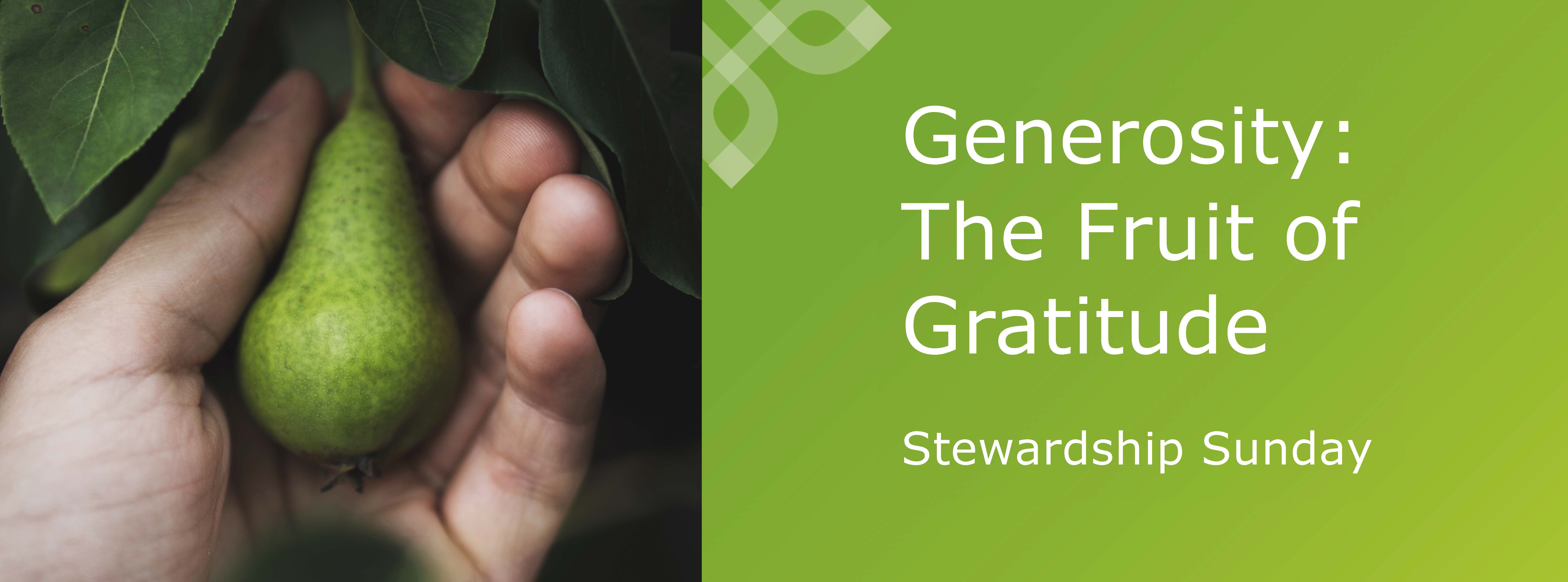 Generosity: The fruit of gratitude